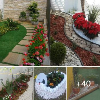 Small Space, Big Dreams: 40 Ideas for a Vibrant Small Garden.lqh Small Space, Big Dreams: 40 Ideas for a Vibrant Small Garden.lqh