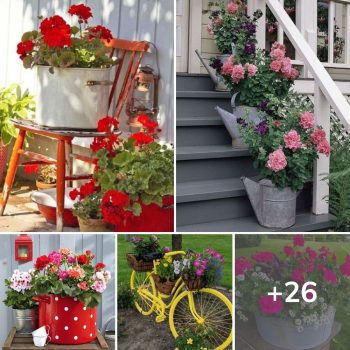 26 Great ideas and decorations for a spring atmosphere in your yard and garden.lqh 26 Great ideas and decorations for a spring atmosphere in your yard and garden.lqh