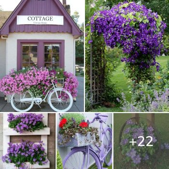 22 Fantastic garden decorations for those who love the purple color.lqh 22 Fantastic garden decorations for those who love the purple color.lqh
