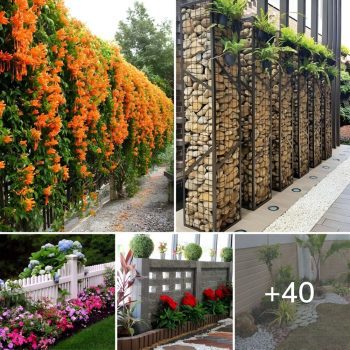 40 Gorgeous Lovely Fence Landscaping Ideas To Create.lqh 40 Gorgeous Lovely Fence Landscaping Ideas To Create.lqh