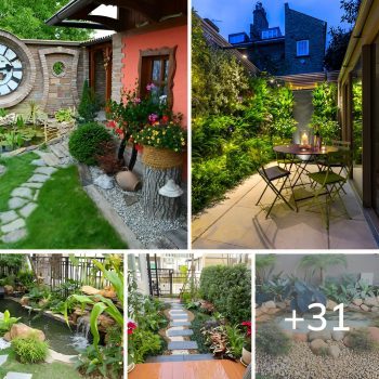 31 Beautiful “Urban Garden” Ideas for Limited Spaces.lqh 31 Beautiful “Urban Garden” Ideas for Limited Spaces.lqh
