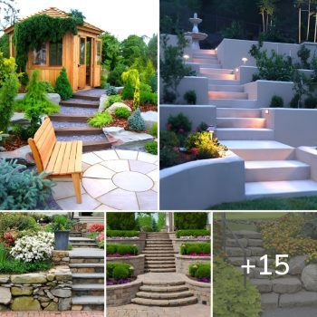 15 of The Very Attractive Garden Landscaping Stepping Ideas.lqh 15 of The Very Attractive Garden Landscaping Stepping Ideas.lqh