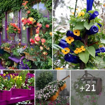 With These Decorations Make Your Garden Look More Interesting.lqh With These Decorations Make Your Garden Look More Interesting.lqh