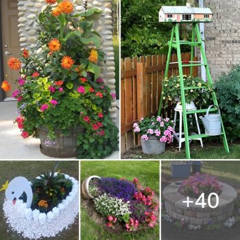 40 Interesting DIY Garden Decor Ideas that Inspire You.lqh 40 Interesting DIY Garden Decor Ideas that Inspire You.lqh