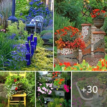 Remodel Your Backyard With These 30 Recycled Garden Projects.lqh Remodel Your Backyard With These 30 Recycled Garden Projects.lqh