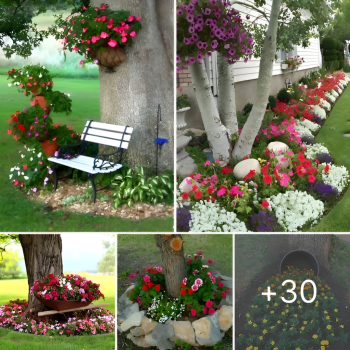 Amazing 30+ flowers under tree ideas for this spring.lqh Amazing 30+ flowers under tree ideas for this spring.lqh