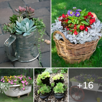 Unusual And Interesting Garden Container Ideas You Never Thought Of.lqh Unusual And Interesting Garden Container Ideas You Never Thought Of.lqh