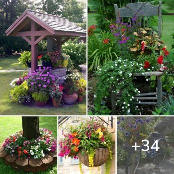 34 Beautiful ideas to decorate the yard and garden with colorful, spectacular flowers.lqh 34 Beautiful ideas to decorate the yard and garden with colorful, spectacular flowers.lqh