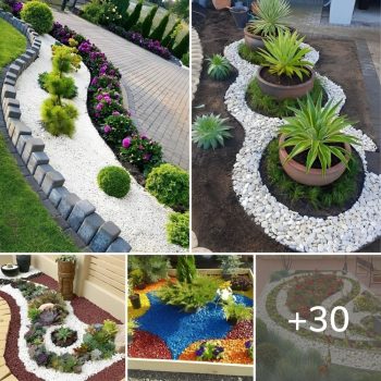 30+ Original Ideas That Will Boost Our Garden To Another Level.lqh 30+ Original Ideas That Will Boost Our Garden To Another Level.lqh