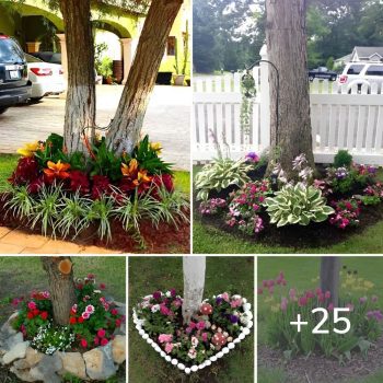 How to add charm to your garden with flower ideas under trees.lqh How to add charm to your garden with flower ideas under trees.lqh