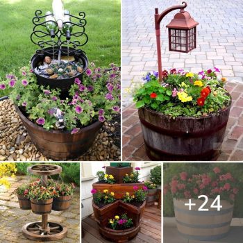 24 Repurposed Old Wine Barrel Ideas For The Garden.lqh 24 Repurposed Old Wine Barrel Ideas For The Garden.lqh