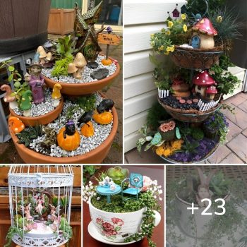 23 Fairy Garden Ideas That Your Kids Will Fall In Love.lqh 23 Fairy Garden Ideas That Your Kids Will Fall In Love.lqh