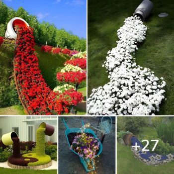 27 Stunning Spilled Flower Pot Ideas to Brighten Up Your Garden Landscape.lqh 27 Stunning Spilled Flower Pot Ideas to Brighten Up Your Garden Landscape.lqh