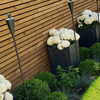 21 Fence Ideas to Elevate Your Outdoor Space 21 Fence Ideas to Elevate Your Outdoor Space