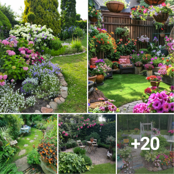 20 Charming Garden Ideas You’ll Fall in Love With 20 Charming Garden Ideas You’ll Fall in Love With