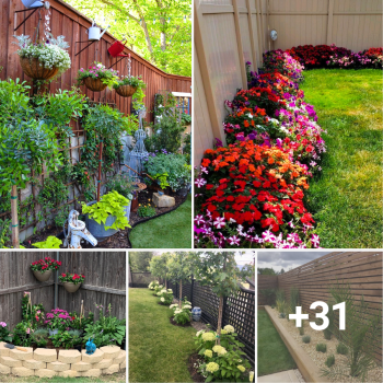 33 Inspiring Landscaping Ideas to Enhance Your Fence
