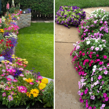48 Eye-Catching Flower Beds Landscaping Ideas 48 Eye-Catching Flower Beds Landscaping Ideas