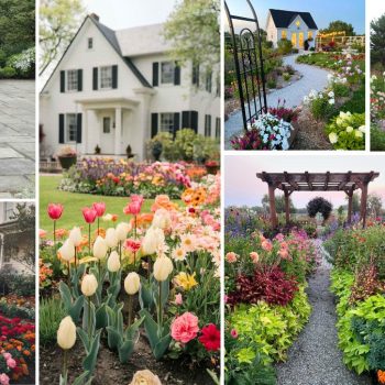 18 Gorgeous Big Flower Gardens for Eye-Catching Outdoor Displays