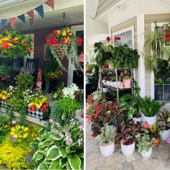 32 Stunning Porch Ideas with Plants 32 Stunning Porch Ideas with Plants