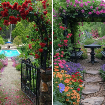 25 Enchanting Flower Gate Ideas 25 Enchanting Flower Gate Ideas