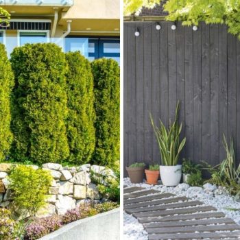 33 Beautiful Green Fence Line Landscaping Ideas 33 Beautiful Green Fence Line Landscaping Ideas