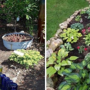 20 Garden Lawn Edging Ideas 20 Garden Lawn Edging Ideas