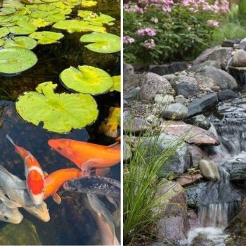 30 Backyard Pond Ideas You’ll Love: From Modern To Rustic