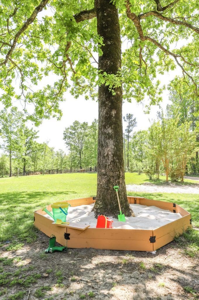 Tranquil Tree-Centered Sandbox for Endless Fun